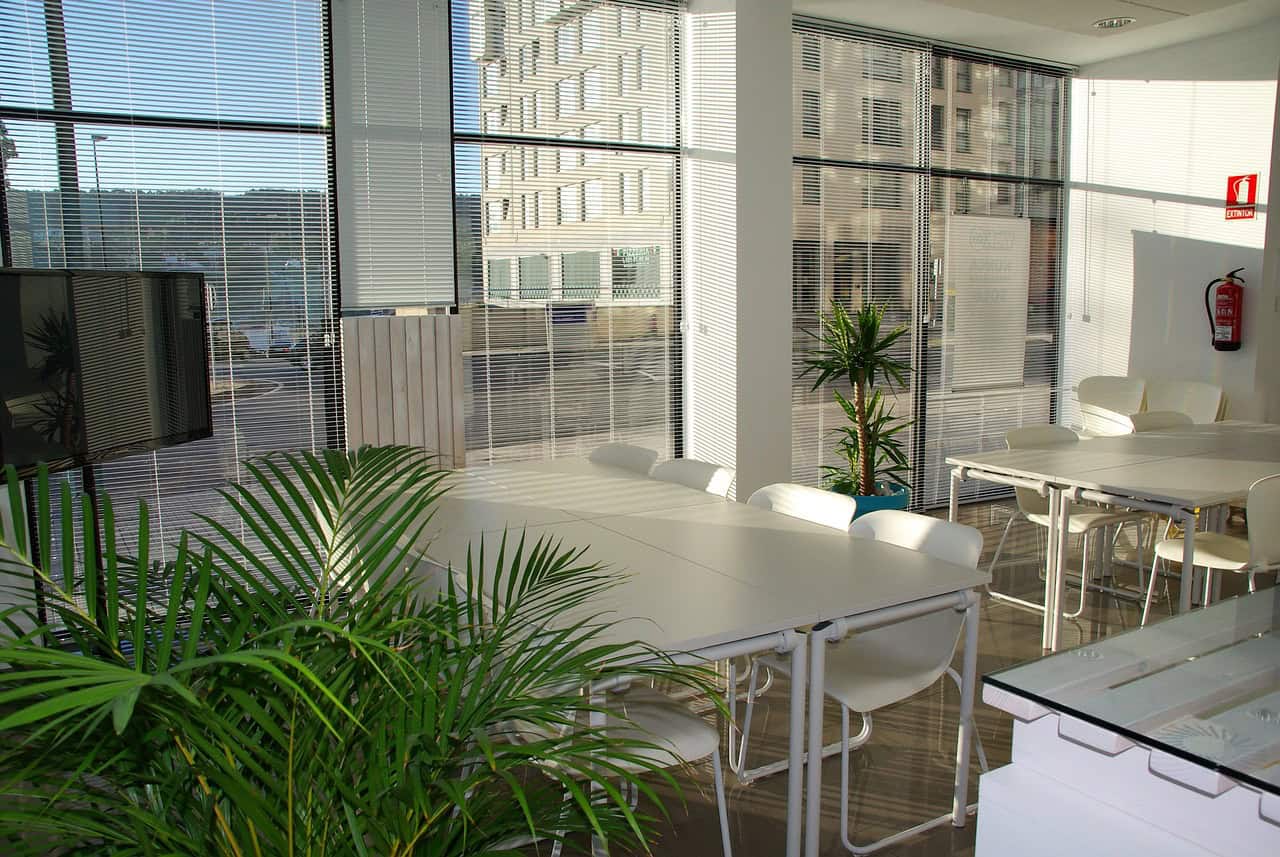 Bureaux et attractivité : comment transformer vos locaux en atout pour recruter et fidéliser les talents ?