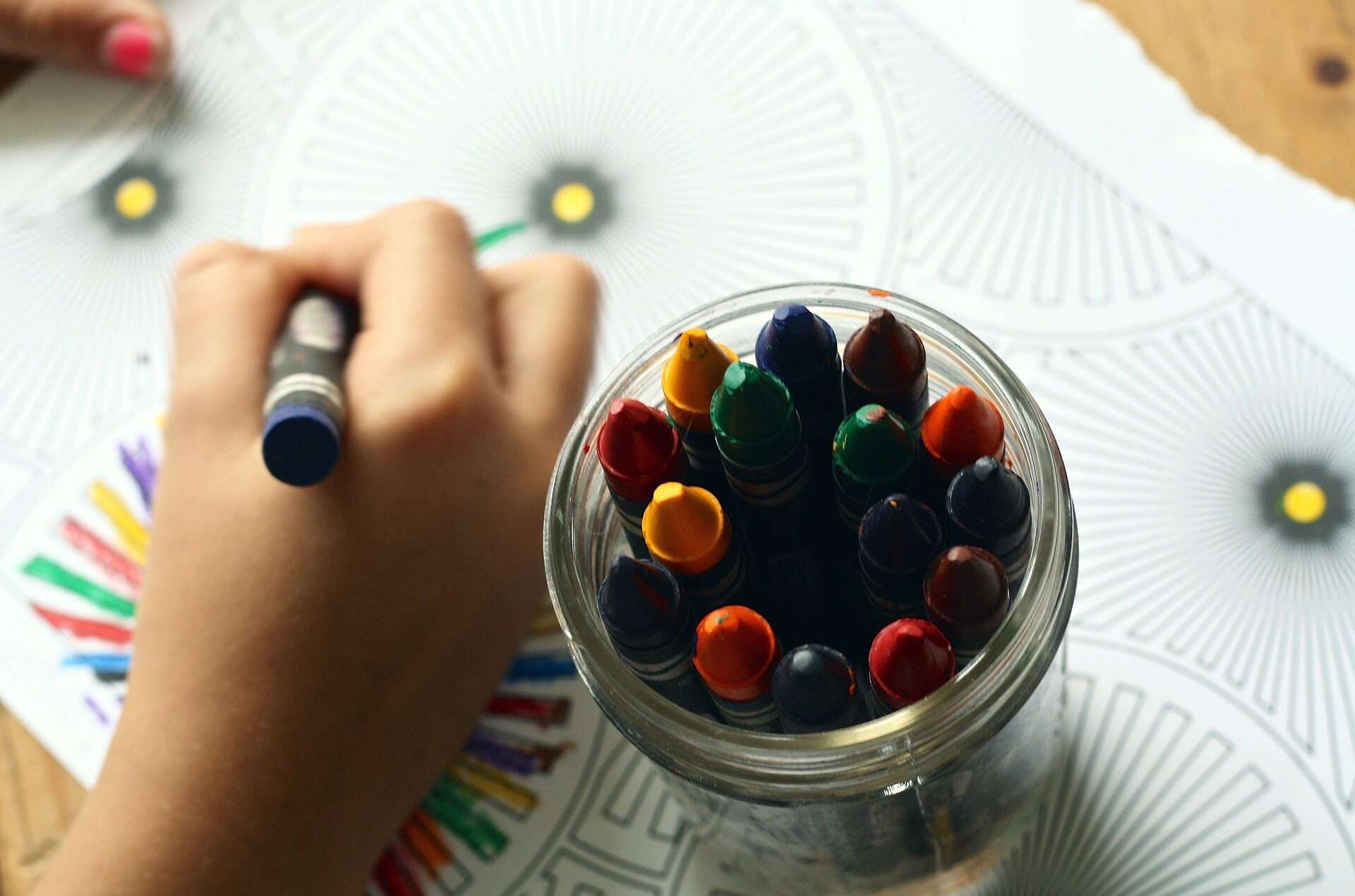 Vetraz-Monthoux | L’école primaire « Les Etoiles des Cimes » propose un système d&rsquo;apprentissage différent aux enfants