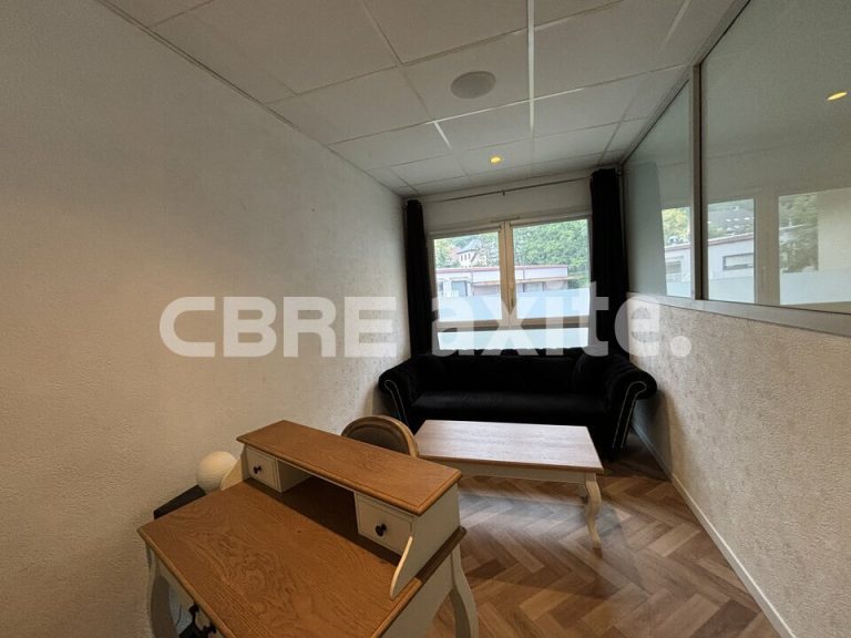 Bureaux à louer ANNECY 74.21869 - 74.21869_LOCATION_Bureaux_ANNECY_4.jpg