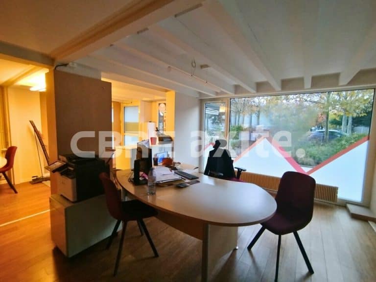 Local commercial à vendre ANNECY 74.21933 - 74.21933_VENTE_Commerces_ANNECY_3.jpg