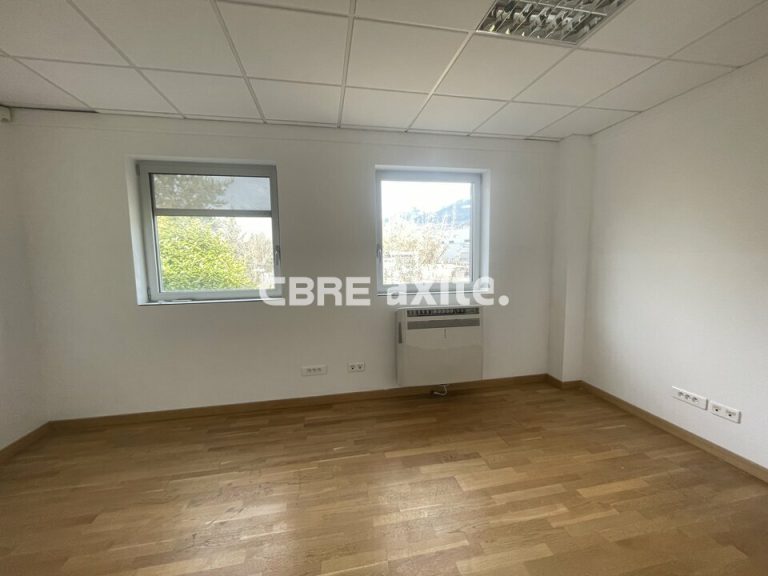 Bureaux à louer ANNECY LE VIEUX 74.21993 - 74.21993_LOCATION_Bureaux_ANNECY_LE_VIEUX_6.jpg