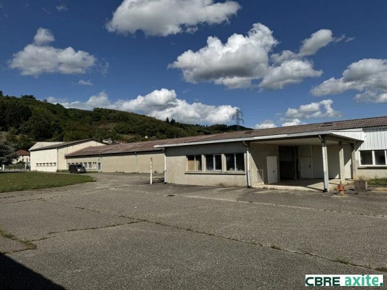 Locaux d'activités à vendre LE GRAND-LEMPS 38.100868 - 38.100868_VENTE_Activites_LE_GRAND-LEMPS_6.jpg