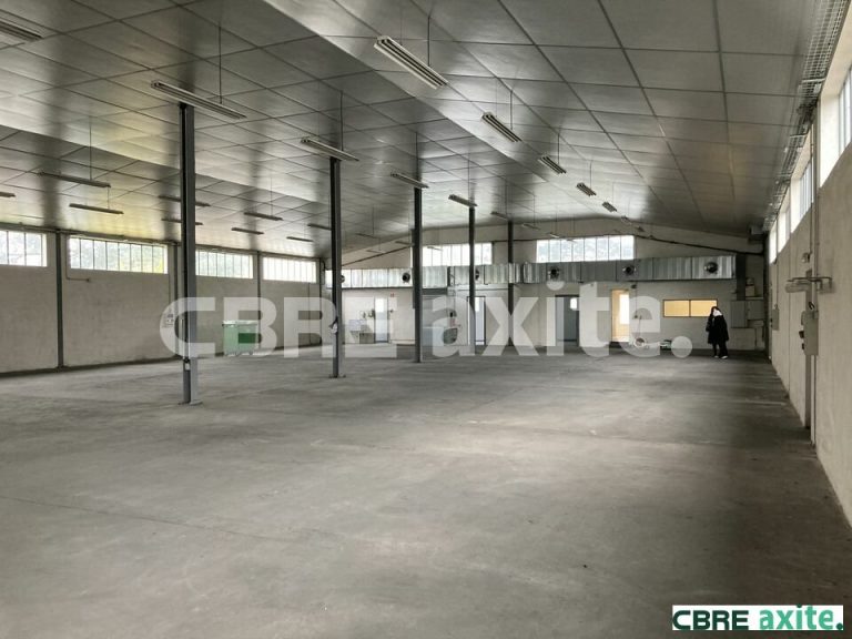 Locaux d'activités à louer SEYSSINET PARISET 38.99348 - 38.99348_LOCATION_Activites_SEYSSINET_PARISET_1.jpg