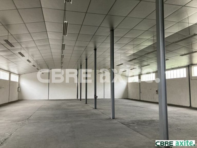 Locaux d'activités à louer SEYSSINET PARISET 38.99348 - 38.99348_LOCATION_Activites_SEYSSINET_PARISET_3.jpg