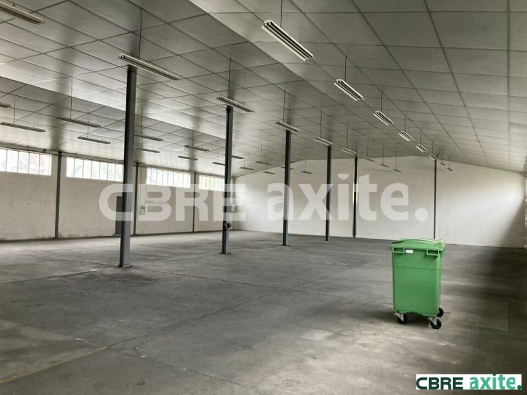 Locaux d'activités à louer SEYSSINET PARISET 38.99348 - 38.99348_LOCATION_Activites_SEYSSINET_PARISET_6.jpg