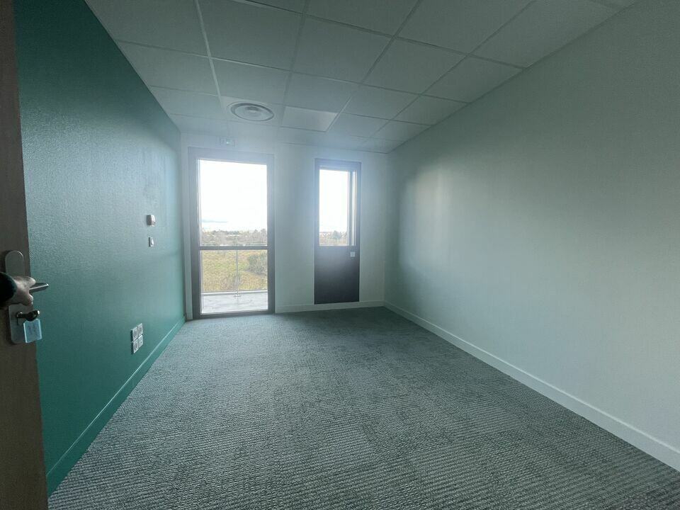 Bureaux de 18,1 à 100,8 m² à louer à Alixan, photo 4 sur 4