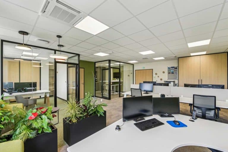 Plateau de bureaux de DESSILAC à Méry, aménagé par INSIDE : postes de travail, bureaux vitrés et plantes